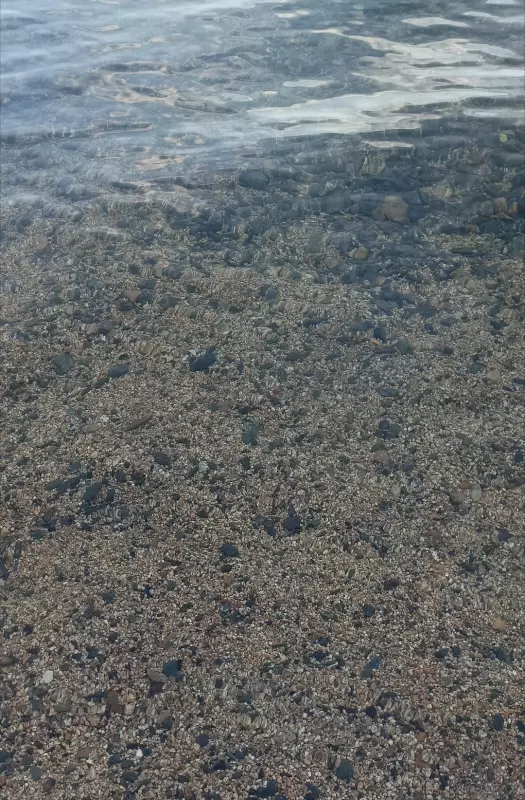 Чайная беседка