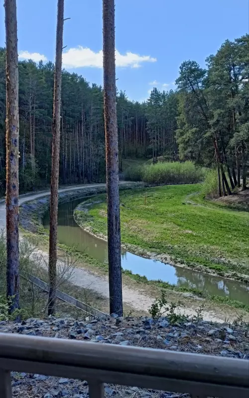 Чайная беседка