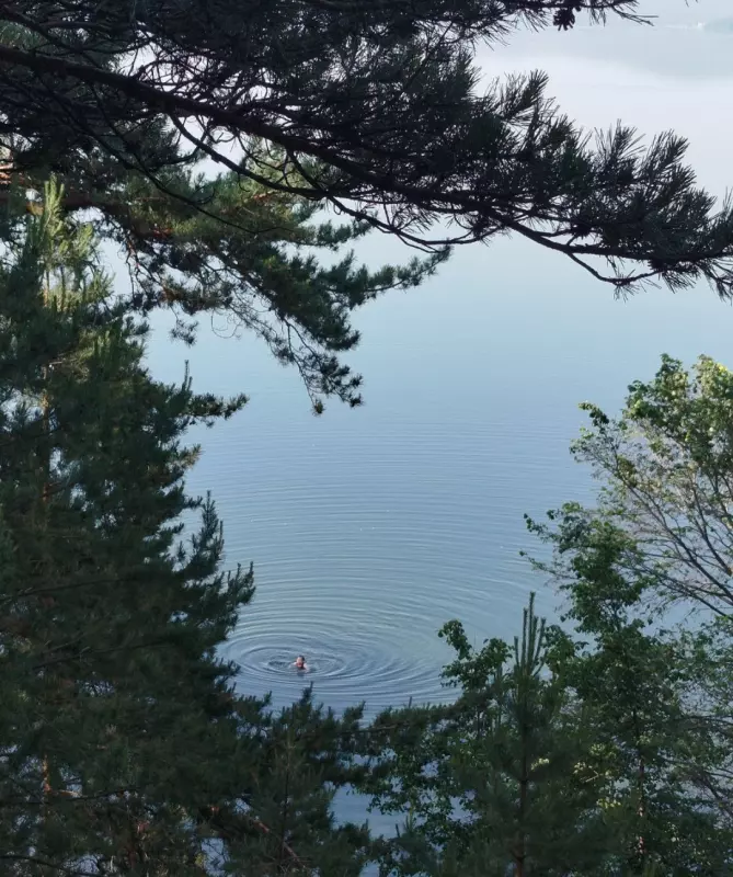 Чайная беседка