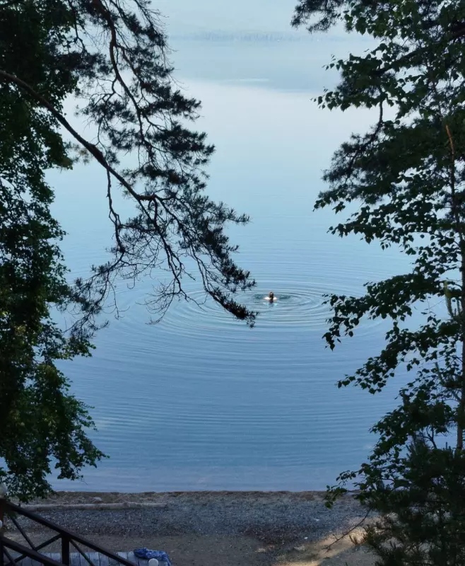 Чайная беседка