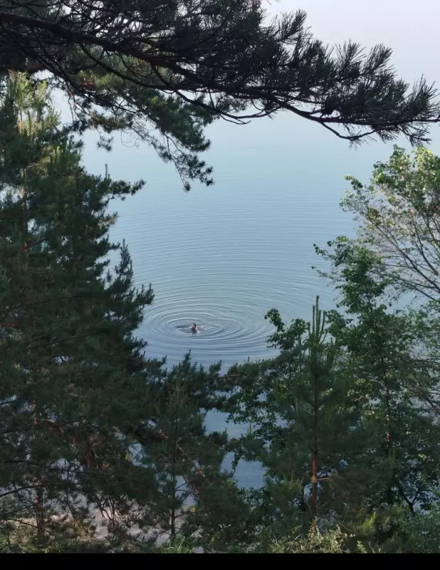 Чайная беседка