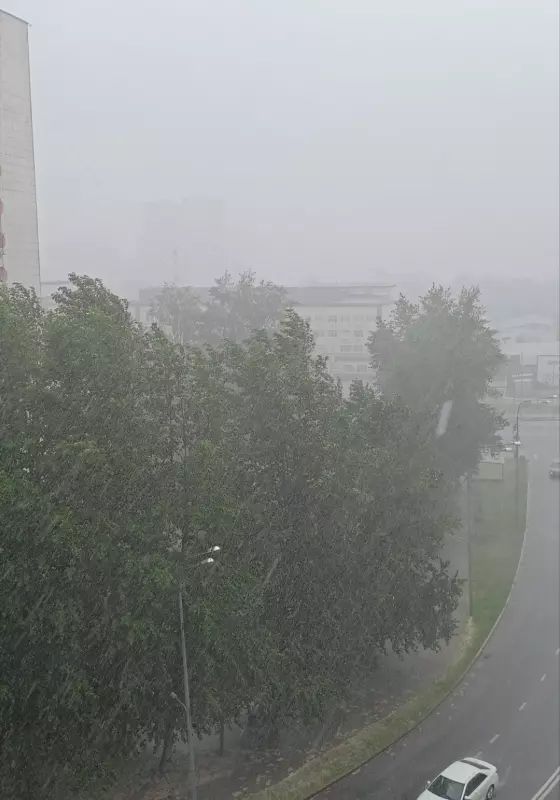 Чайная беседка