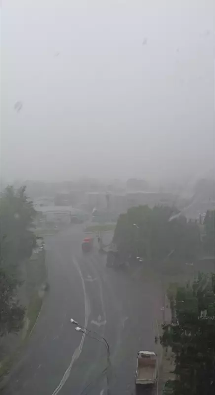 Чайная беседка