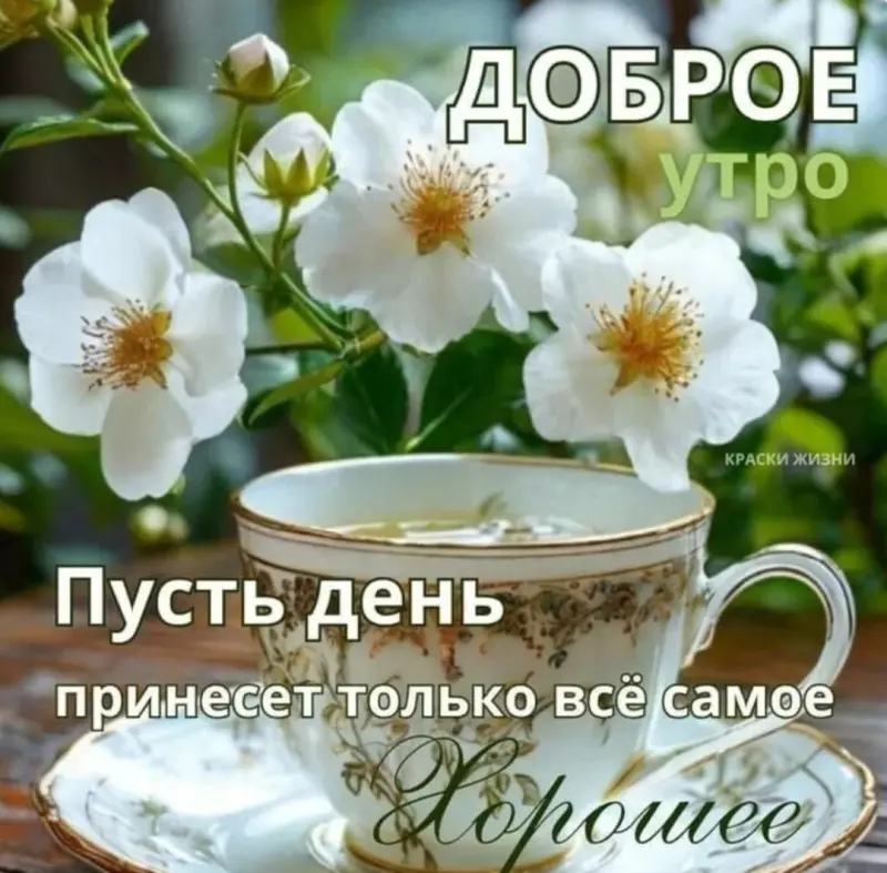 Чайная беседка