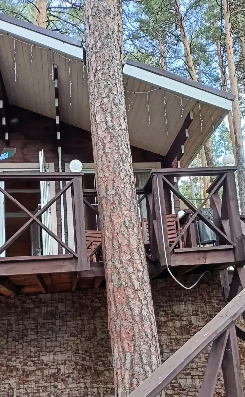 Чайная беседка