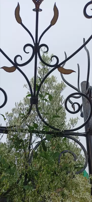 Чайная беседка