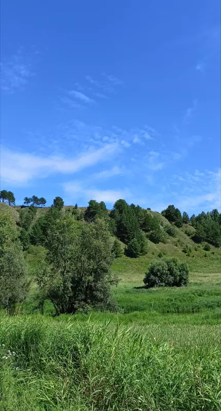 Чайная беседка