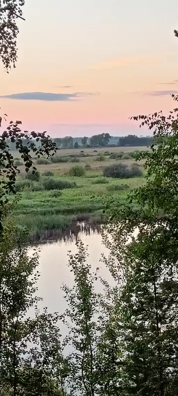 Чайная беседка