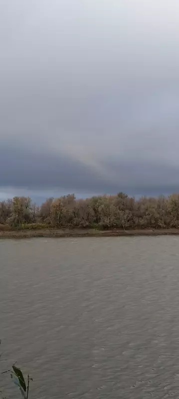 Чайная беседка