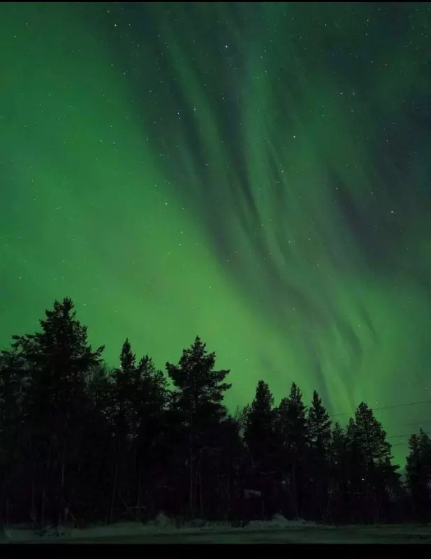 Чайная беседка