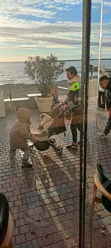 Чайная беседка