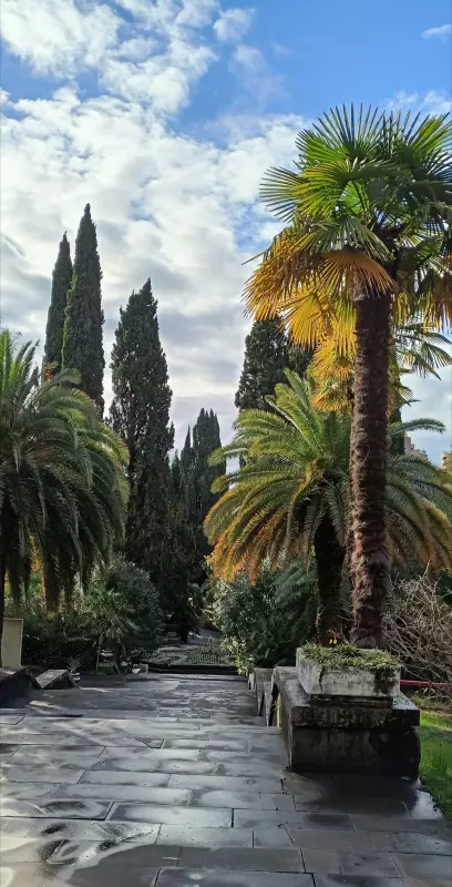 Чайная беседка