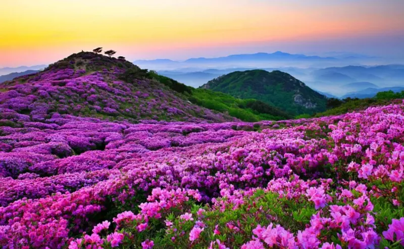 Чайная беседка