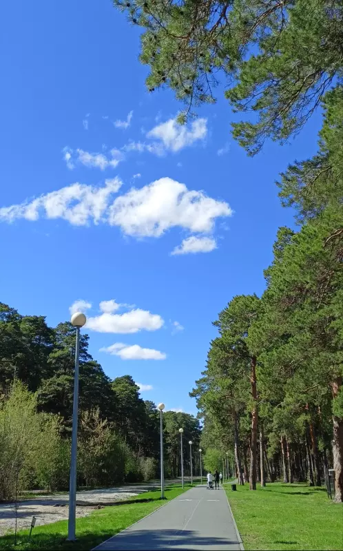 Чайная беседка