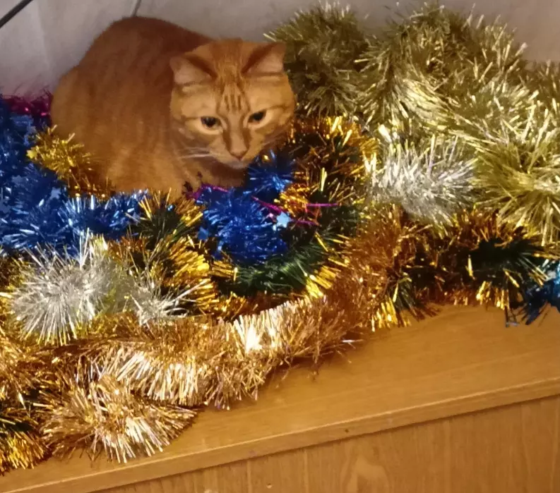 Чайная беседка