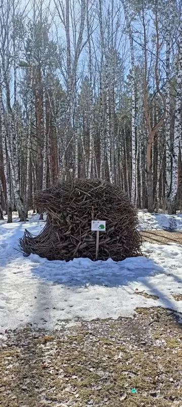 Чайная беседка