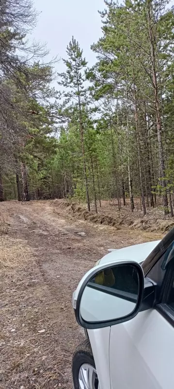 Чайная беседка