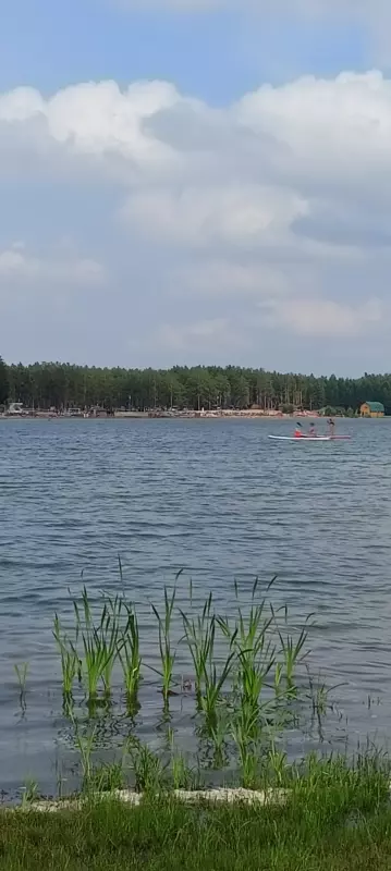 Чайная беседка