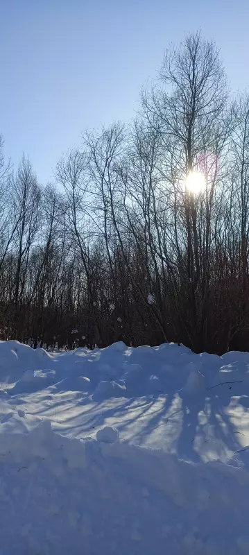 Чайная беседка