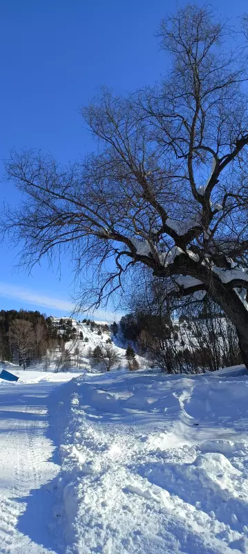 Чайная беседка