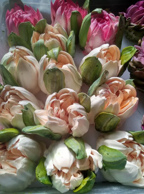 Зефирные букеты и композиции