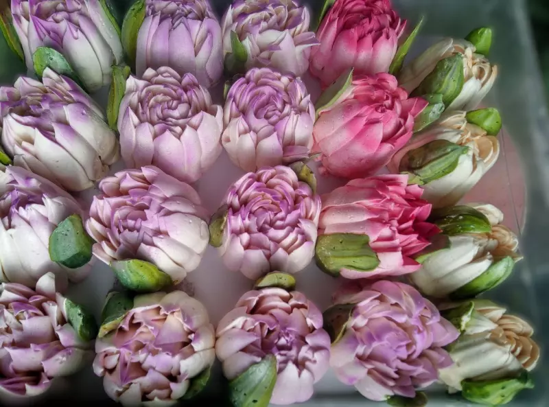 Зефирные букеты и композиции