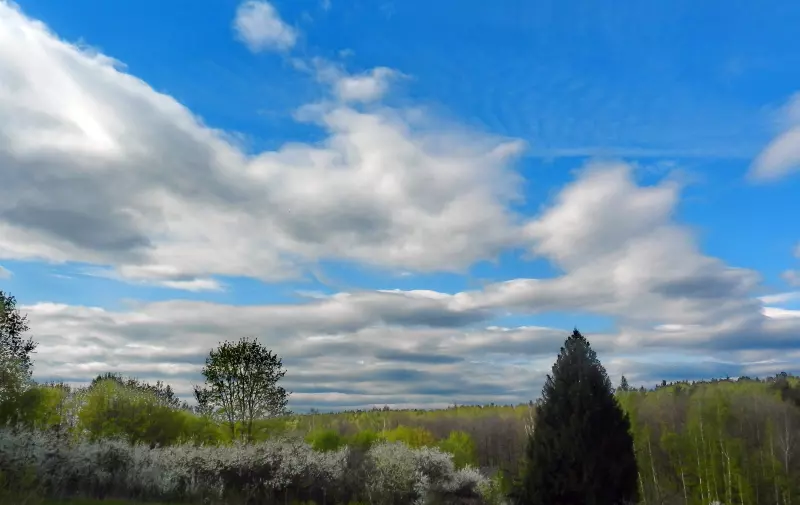 Такое разное небо