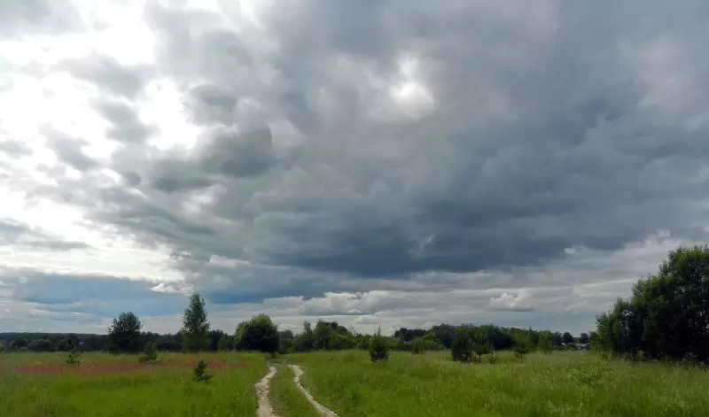 Такое разное небо