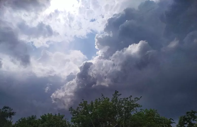 Такое разное небо