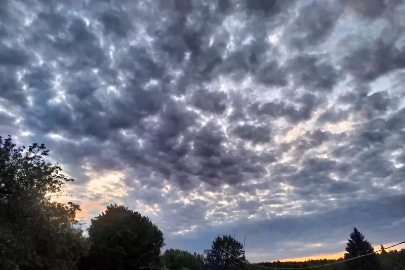 Такое разное небо