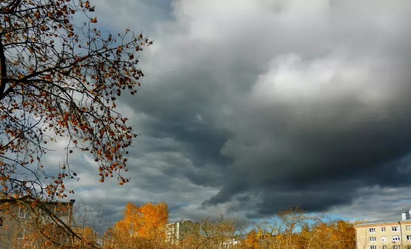 Такое разное небо