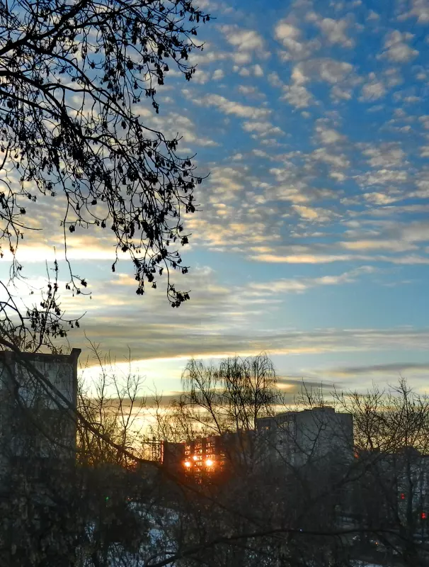 Такое разное небо