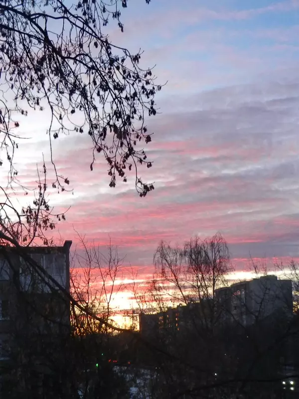 Такое разное небо