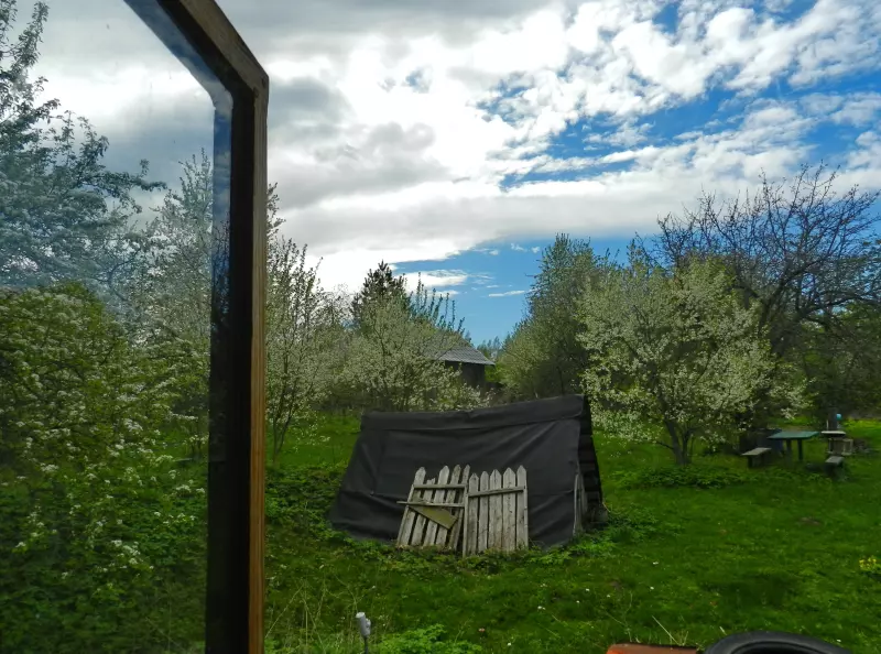 Фотонастроение