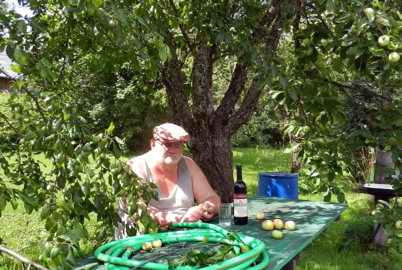 Фотонастроение