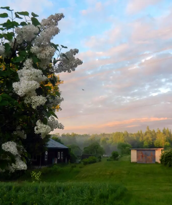 Красивые пейзажи