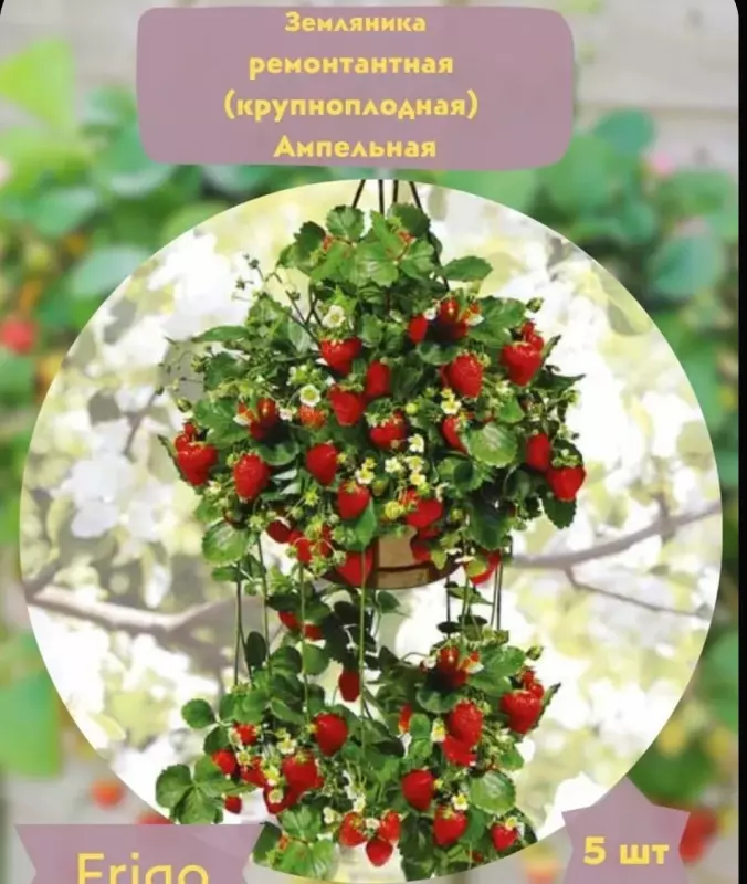 Загородная жизнь - обустройство на земле во всем разнообразии