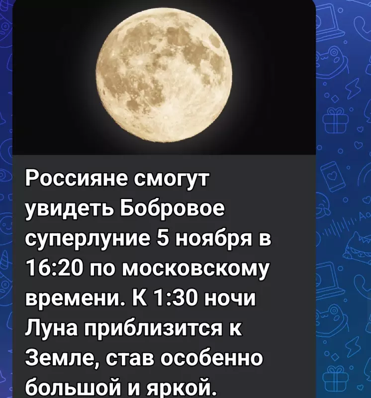 Tapтaлeтки & Ко