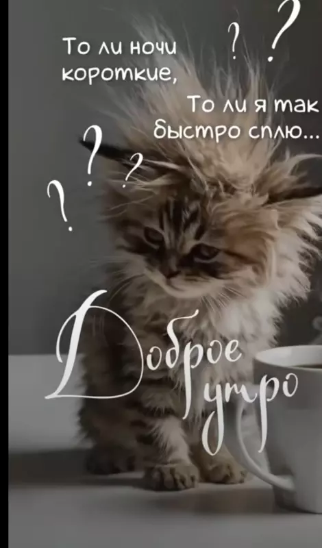 Tapтaлeтки & Ко