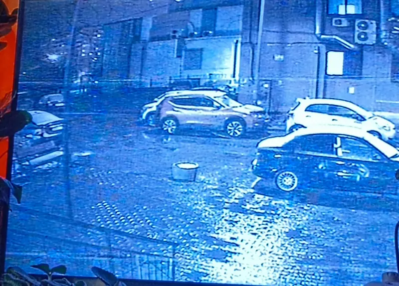 Tapтaлeтки & Ко