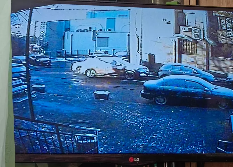 Tapтaлeтки & Ко