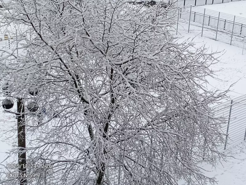 Tapтaлeтки & Ко