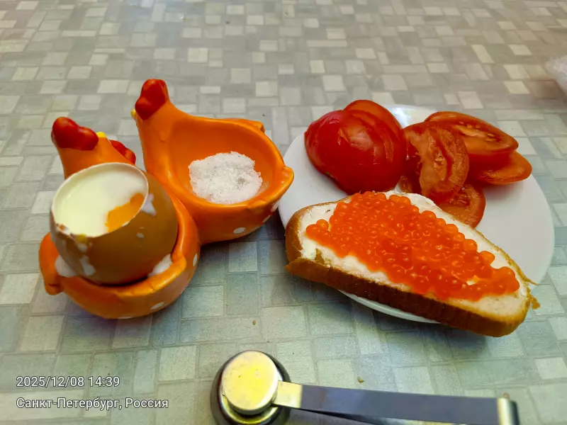 Tapтaлeтки & Ко