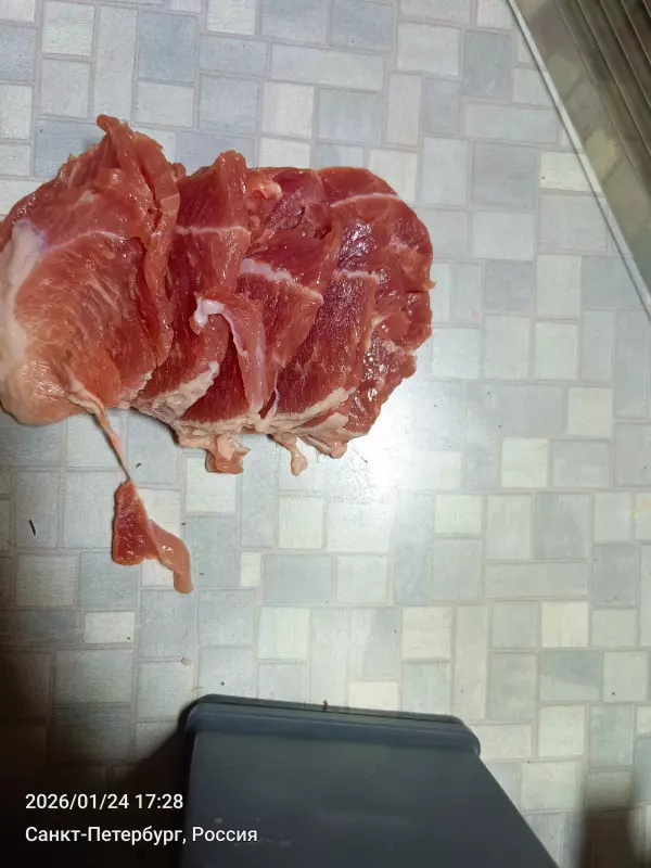 Tapтaлeтки & Ко