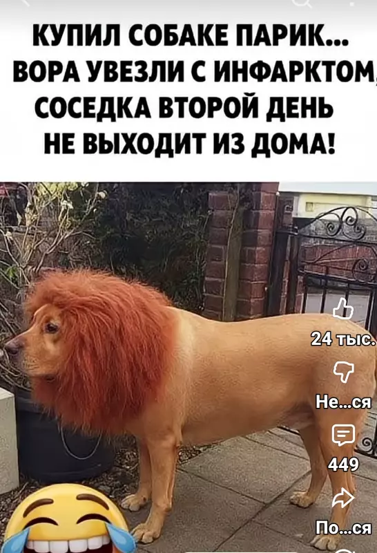 Tapтaлeтки & Ко
