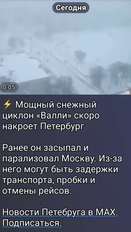 Tapтaлeтки & Ко
