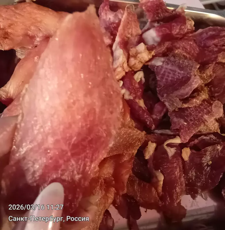 Tapтaлeтки & Ко