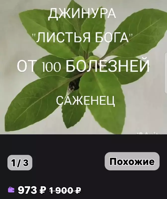 Tapтaлeтки & Ко