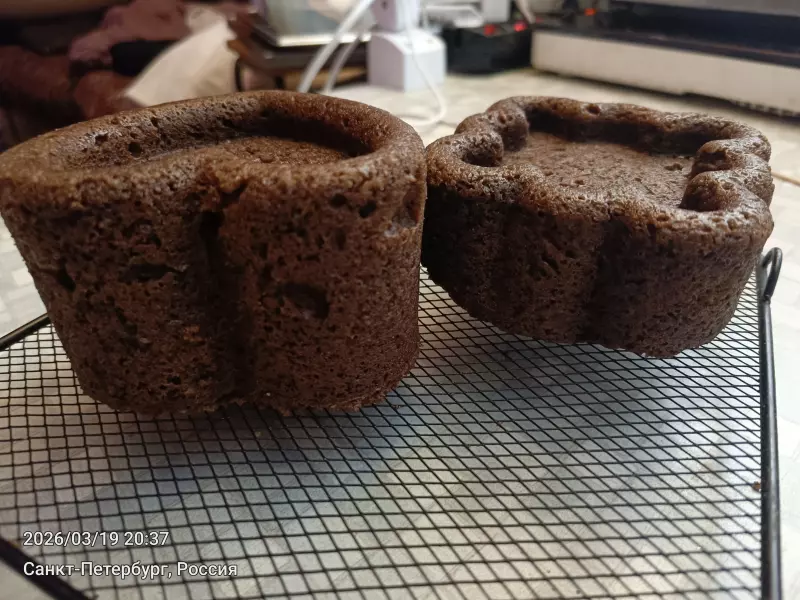 Tapтaлeтки & Ко