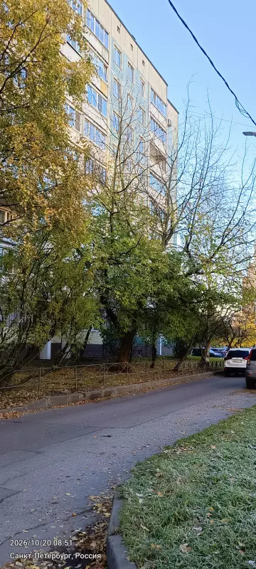 Tapтaлeтки & Ко